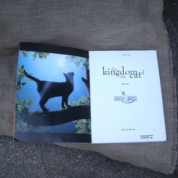 The Kingdom of the Cat by Roni Jay - Picture 4 of 16